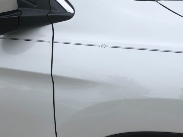 Nissan vinyl logo emblem decal pinstripe kit